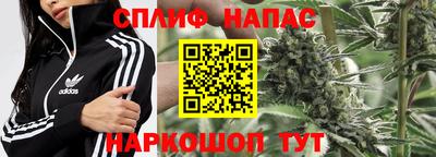 бошки Можга