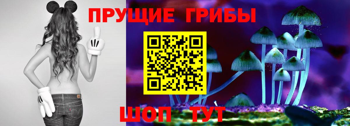 Шахты  даркнет сайт  Галлюциногенные грибы Magic Shrooms  Вход с VPN  Галлюциногенные грибы MAGIC MUSHROOMS 